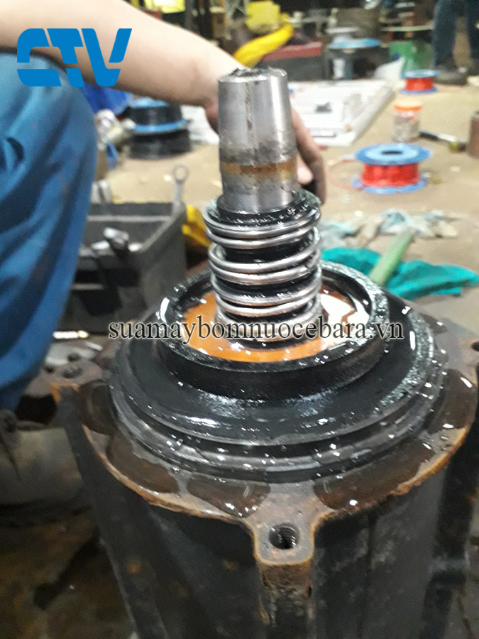 Phớt máy bơm Pentax mới thay cũng có thể bị hỏng chỉ sau vài phút vận hành