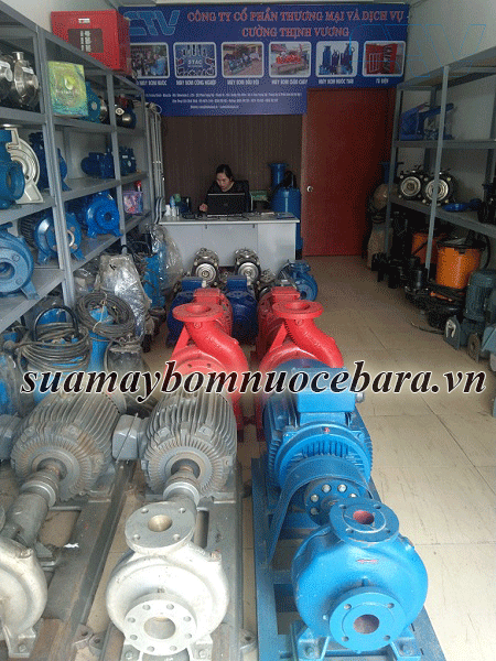 Dịch vụ cho thuê máy bơm nước tại Cường Thịnh Vương